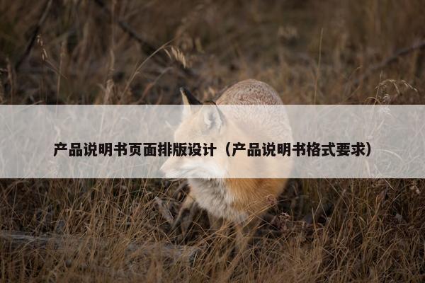 产品说明书页面排版设计（产品说明书格式要求）