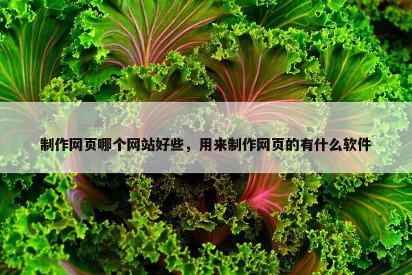 制作网页哪个网站好些，用来制作网页的有什么软件