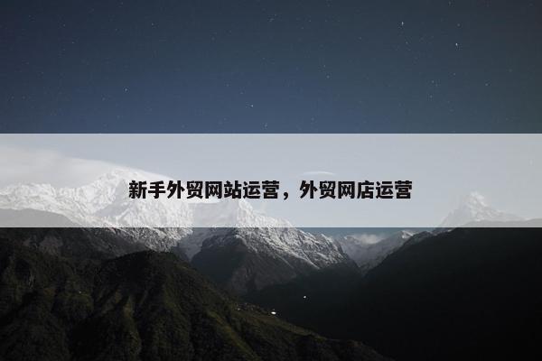 新手外贸网站运营，外贸网店运营