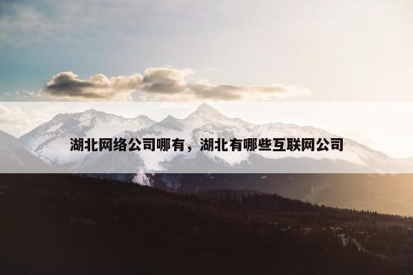 湖北网络公司哪有，湖北有哪些互联网公司