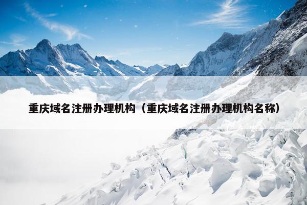 重庆域名注册办理机构（重庆域名注册办理机构名称）