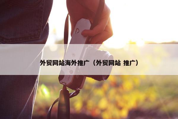 外贸网站海外推广（外贸网站 推广）