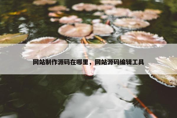 网站制作源码在哪里，网站源码编辑工具