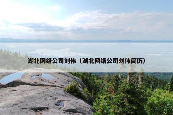 湖北网络公司刘伟（湖北网络公司刘伟简历）