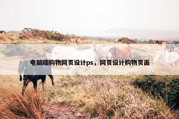 电脑端购物网页设计ps，网页设计购物页面