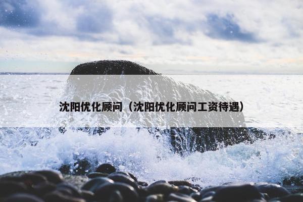 沈阳优化顾问（沈阳优化顾问工资待遇）