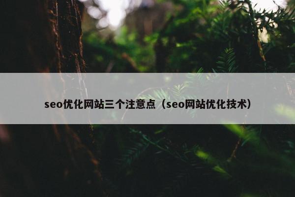 seo优化网站三个注意点（seo网站优化技术）