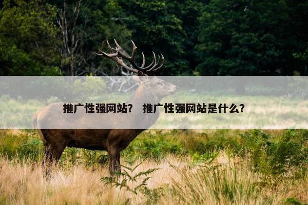 推广性强网站？ 推广性强网站是什么？