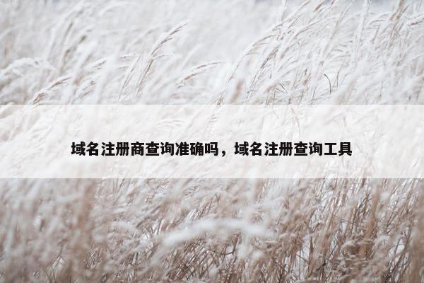 域名注册商查询准确吗，域名注册查询工具