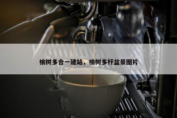 榆树多合一建站，榆树多杆盆景图片