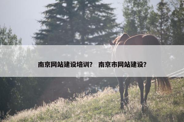 南京网站建设培训？ 南京市网站建设？