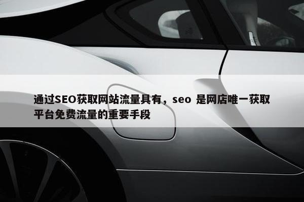 通过SEO获取网站流量具有，seo 是网店唯一获取平台免费流量的重要手段