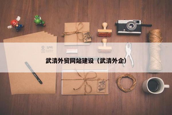 武清外贸网站建设（武清外企）
