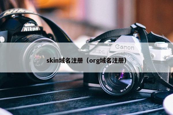 skin域名注册（org域名注册）
