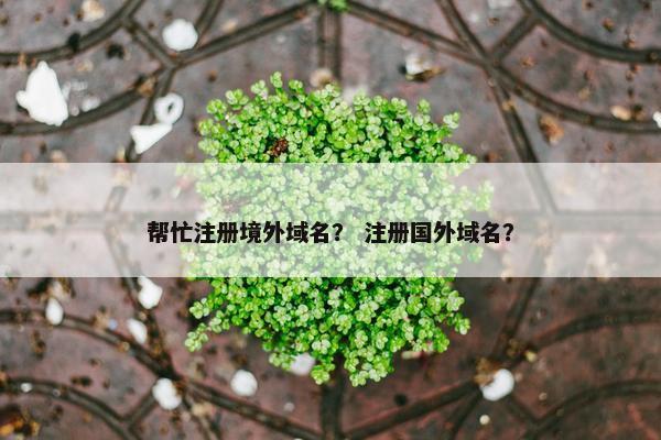 帮忙注册境外域名？ 注册国外域名？