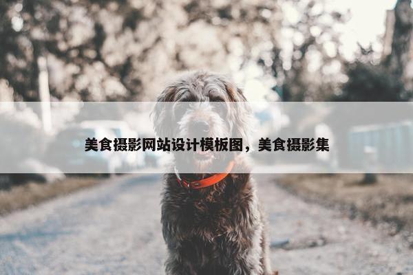 美食摄影网站设计模板图，美食摄影集