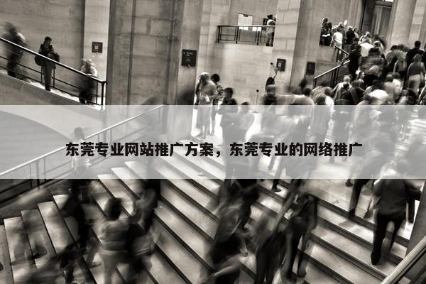 东莞专业网站推广方案，东莞专业的网络推广