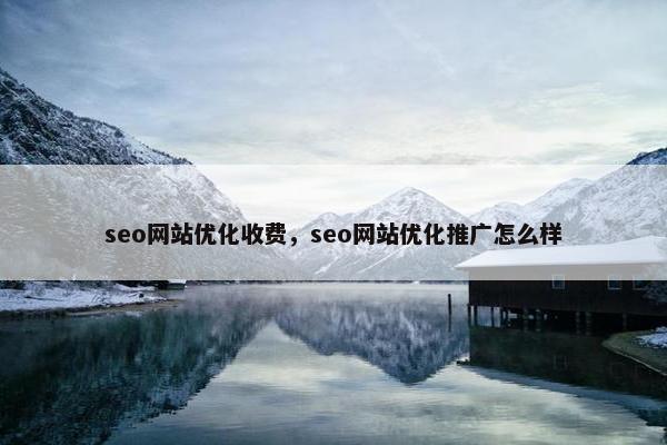 seo网站优化收费，seo网站优化推广怎么样