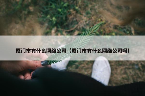 厦门市有什么网络公司（厦门市有什么网络公司吗）