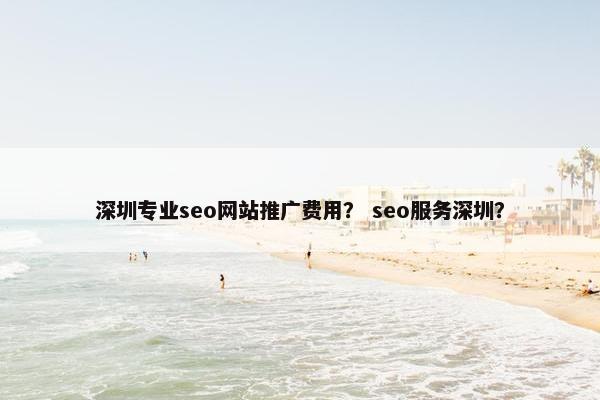 深圳专业seo网站推广费用？ seo服务深圳？