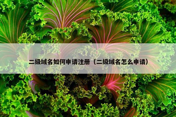 二级域名如何申请注册（二级域名怎么申请）