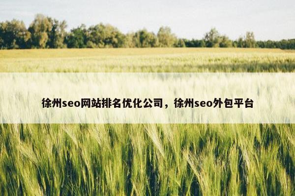 徐州seo网站排名优化公司，徐州seo外包平台