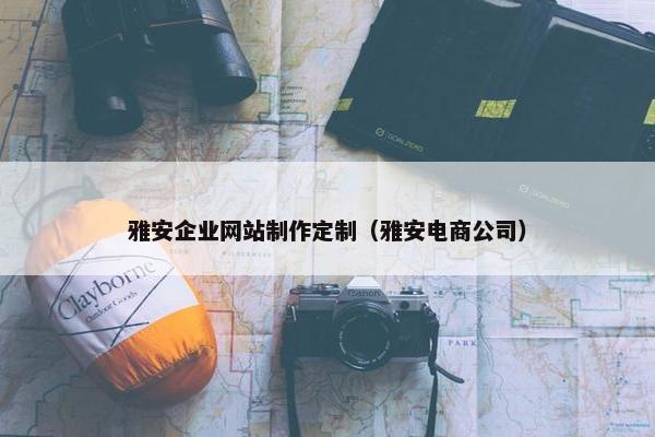 雅安企业网站制作定制（雅安电商公司）