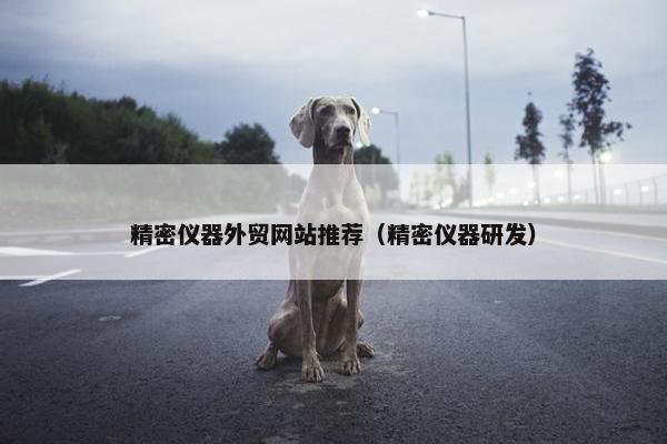 精密仪器外贸网站推荐（精密仪器研发）