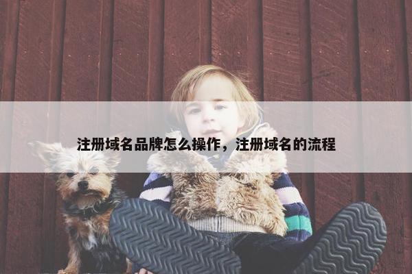 注册域名品牌怎么操作，注册域名的流程