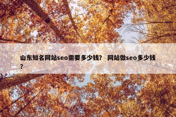 山东知名网站seo需要多少钱？ 网站做seo多少钱？