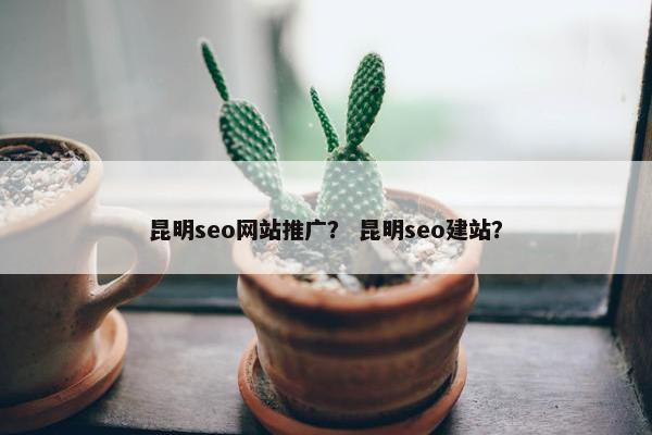 昆明seo网站推广？ 昆明seo建站？