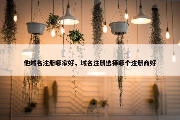他域名注册哪家好，域名注册选择哪个注册商好