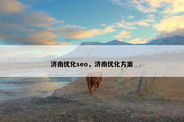 济南优化seo，济南优化方案
