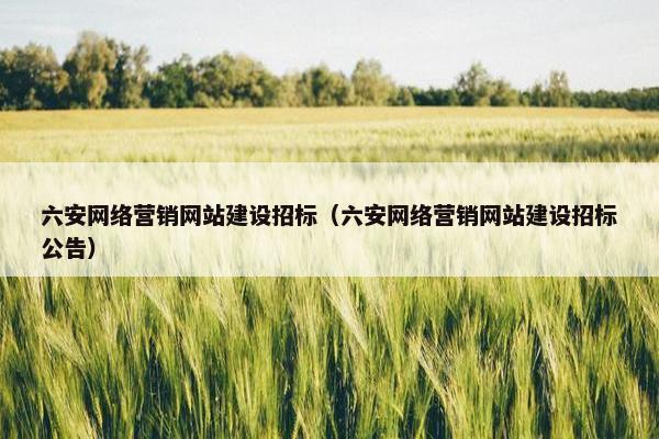 六安网络营销网站建设招标（六安网络营销网站建设招标公告）