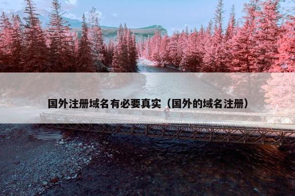 国外注册域名有必要真实（国外的域名注册）