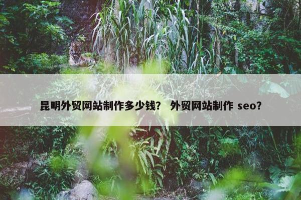 昆明外贸网站制作多少钱？ 外贸网站制作 seo？