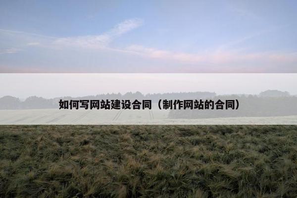 如何写网站建设合同（制作网站的合同）