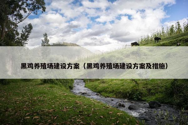 黑鸡养殖场建设方案（黑鸡养殖场建设方案及措施）