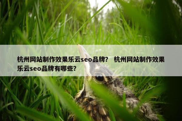 杭州网站制作效果乐云seo品牌？ 杭州网站制作效果乐云seo品牌有哪些？