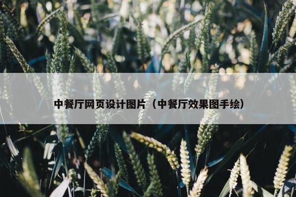 中餐厅网页设计图片（中餐厅效果图手绘）