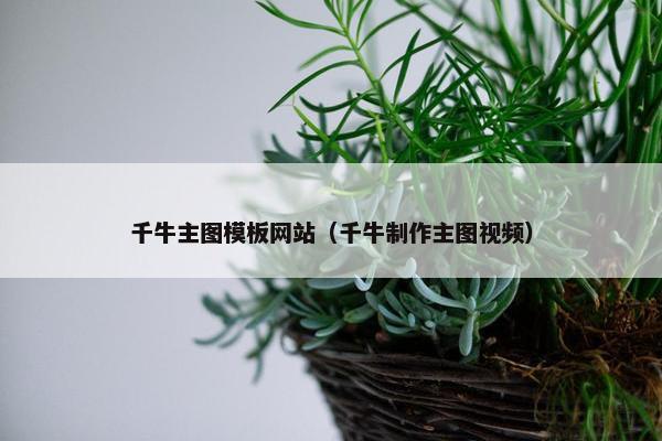 千牛主图模板网站（千牛制作主图视频）