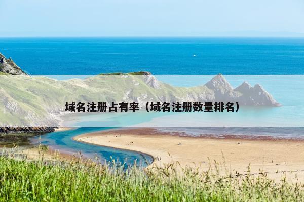 域名注册占有率（域名注册数量排名）