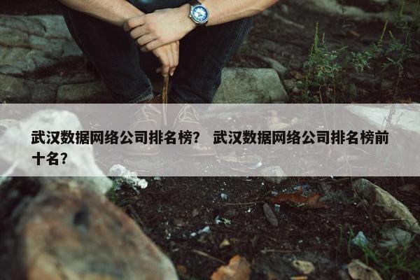 武汉数据网络公司排名榜？ 武汉数据网络公司排名榜前十名？