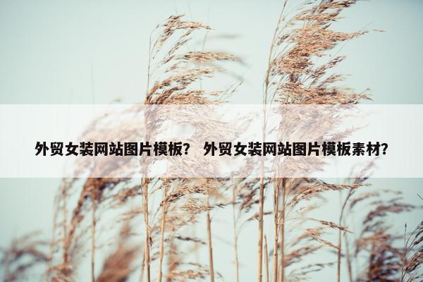 外贸女装网站图片模板？ 外贸女装网站图片模板素材？