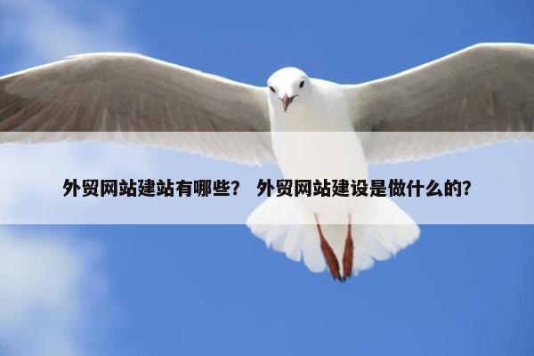 外贸网站建站有哪些？ 外贸网站建设是做什么的？
