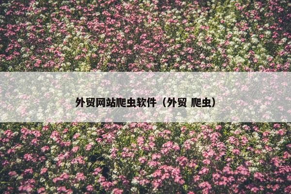 外贸网站爬虫软件（外贸 爬虫）