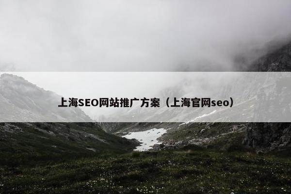 上海SEO网站推广方案（上海官网seo）