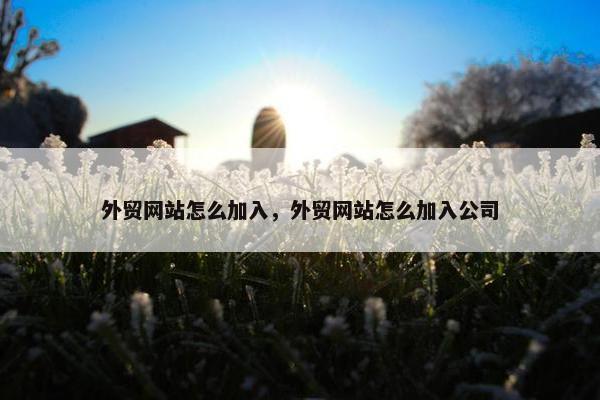 外贸网站怎么加入，外贸网站怎么加入公司