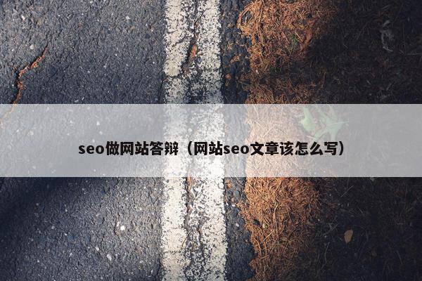 seo做网站答辩（网站seo文章该怎么写）