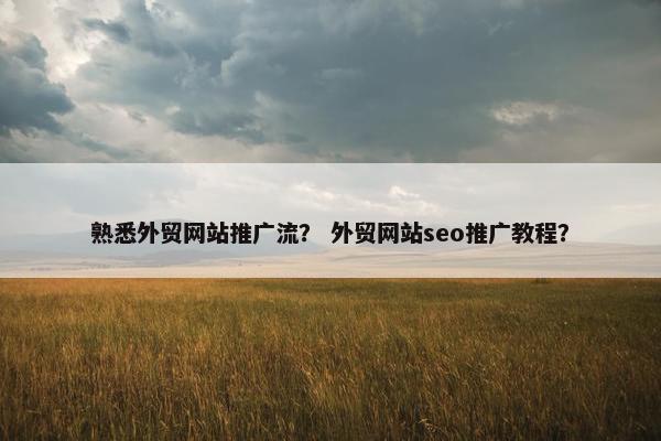 熟悉外贸网站推广流？ 外贸网站seo推广教程？